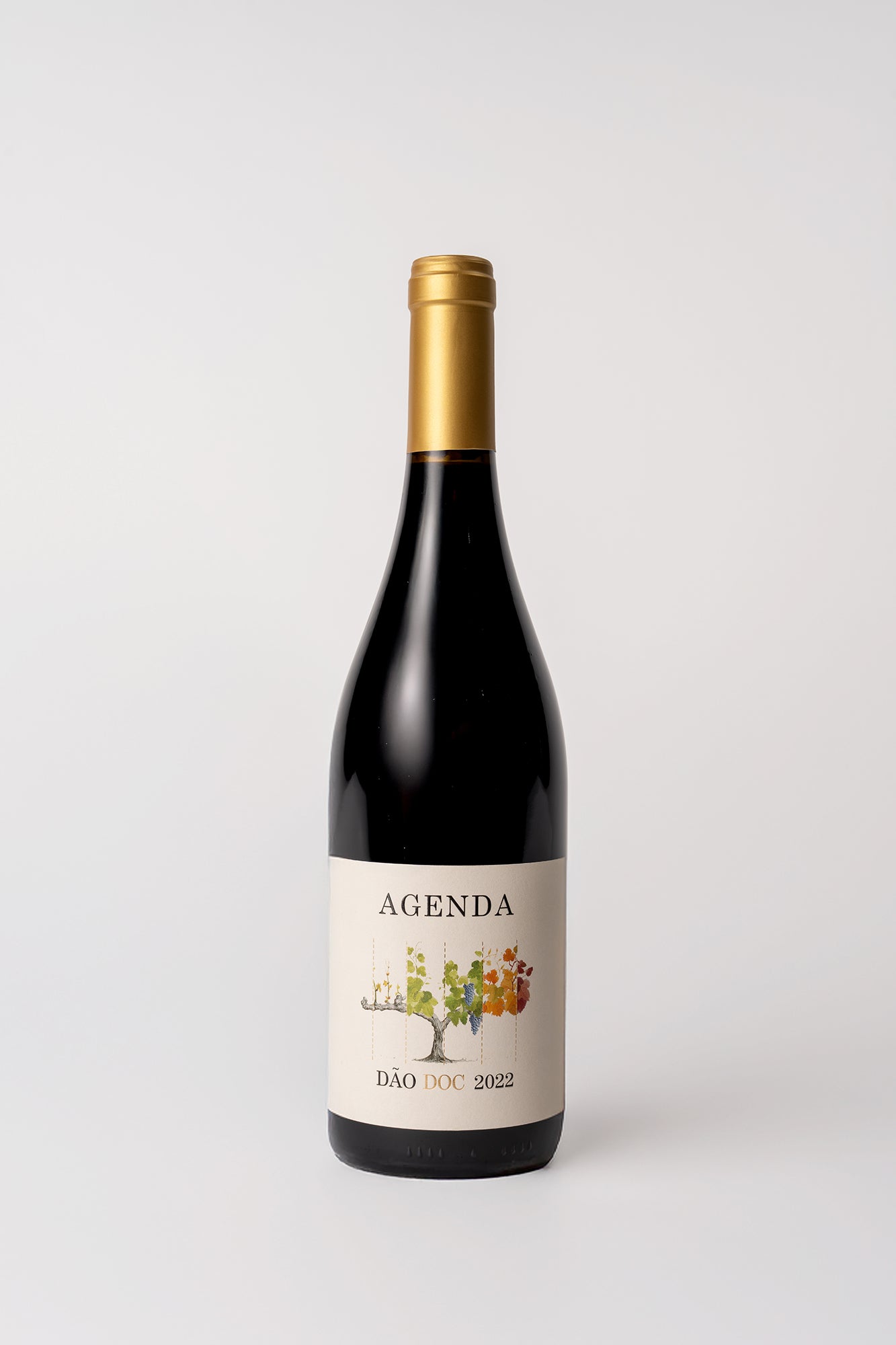 Agenda Tinto