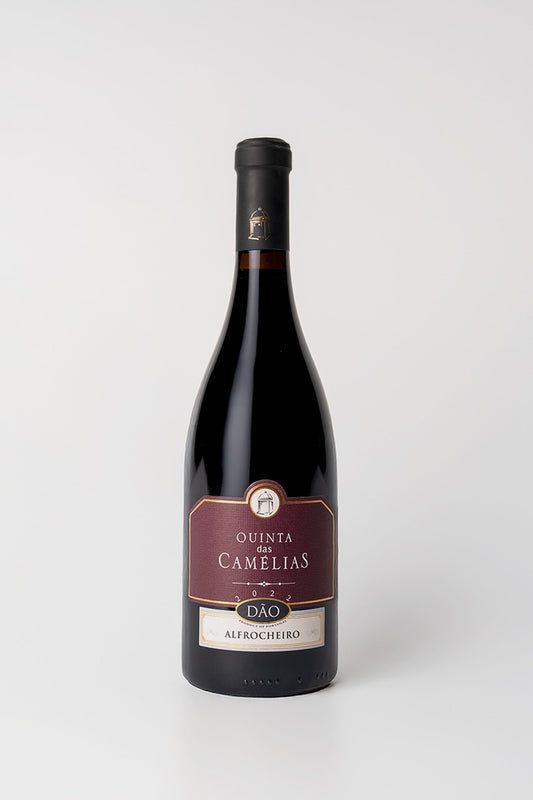 Quinta das Camélias Alfrocheio